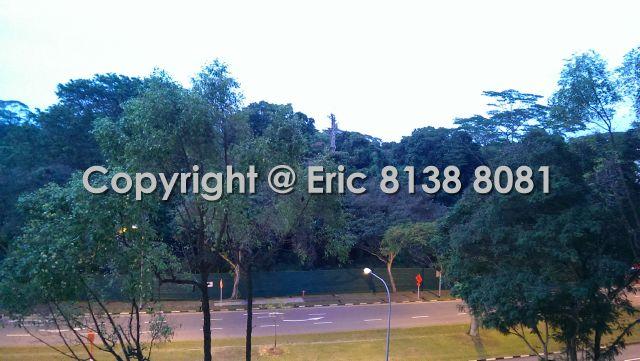 Blk 601 Ang Mo Kio Avenue 5 (Ang Mo Kio), HDB 4 Rooms #129008102